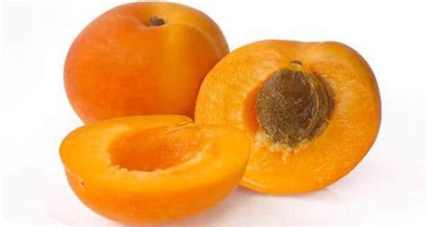 gedli fruit|8 health benefits of delicious apricots (jardalu or khubani).